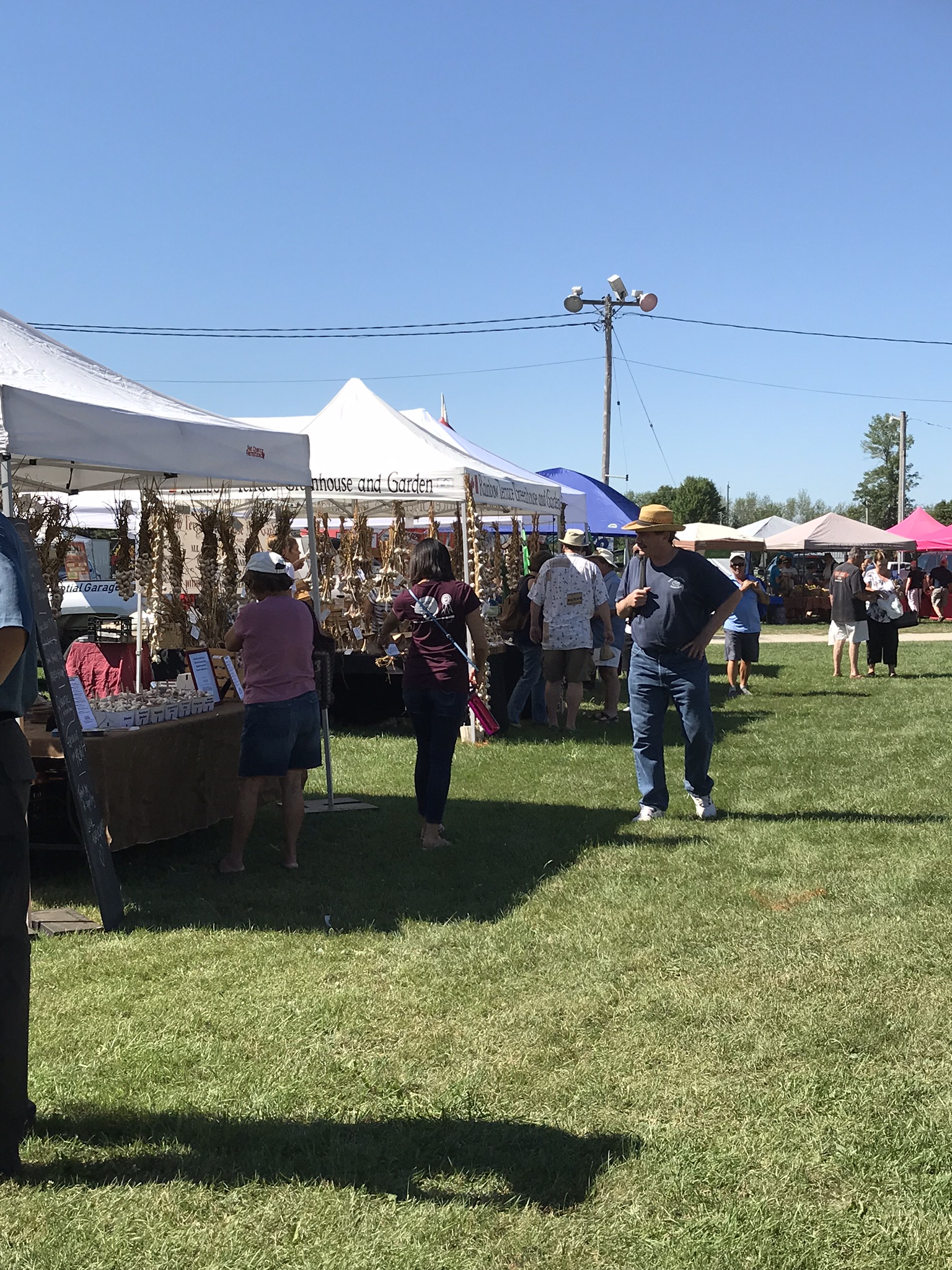 Picture Gallery from Perth Lions Garlic Festival